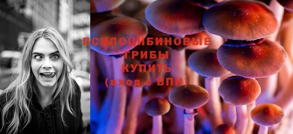 mdpv Белокуриха