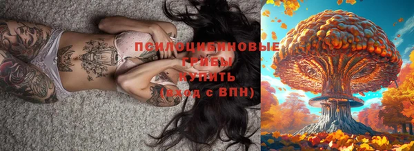 эйфоретик Беломорск