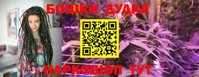 индика Кулебаки