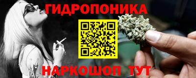 гашик Кунгур