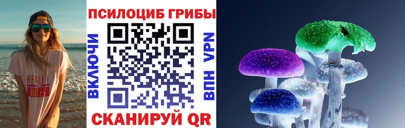даркнет клад  что такое   Бутурлиновка  Псилоцибиновые грибы GOLDEN TEACHER 