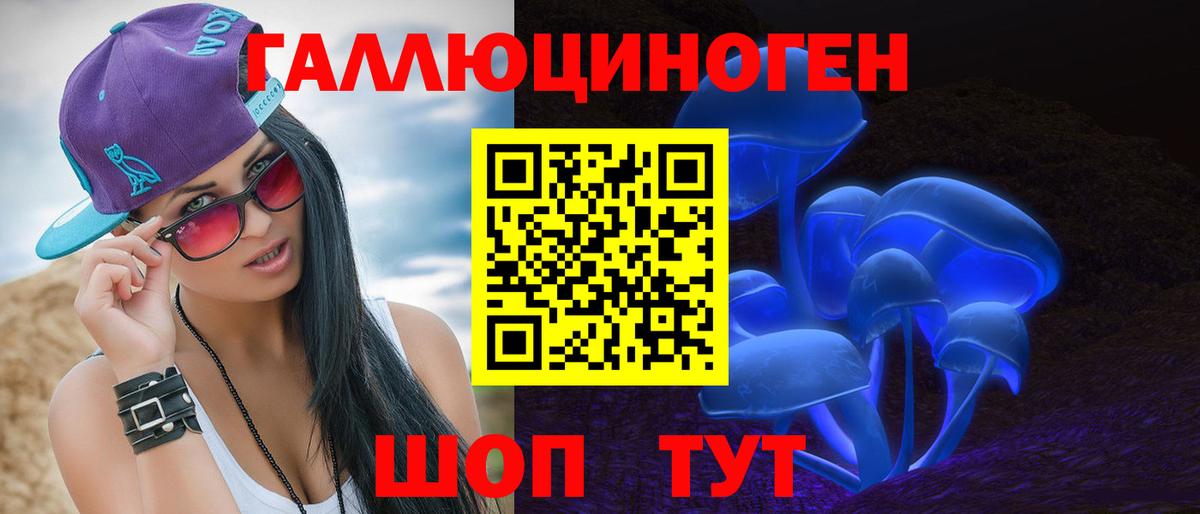 Псилоцибиновые грибы Psilocybine cubensis Бутурлиновка