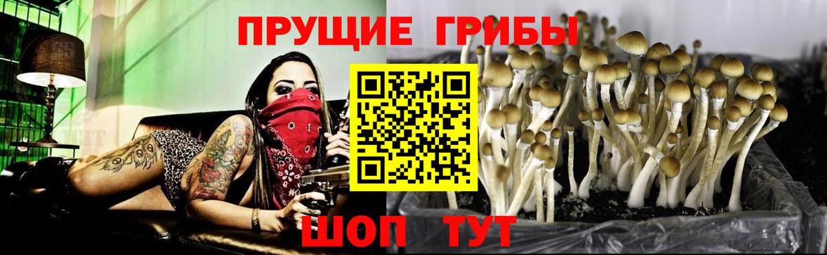 А ПВП Бутурлиновка