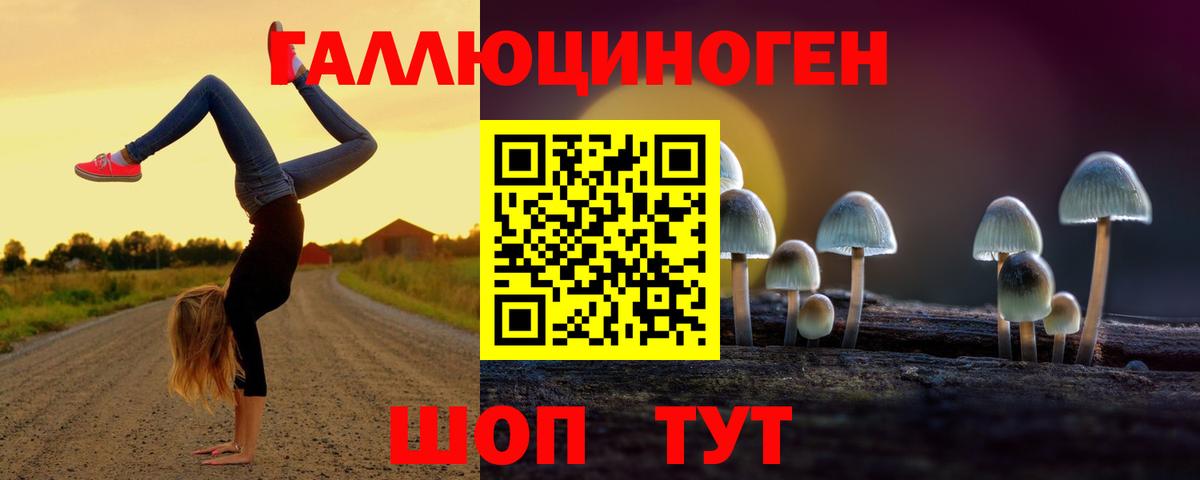 Бутурлиновка  Псилоцибиновые грибы Psilocybe  Вход с VPN  Галлюциногенные грибы Psilocybe 